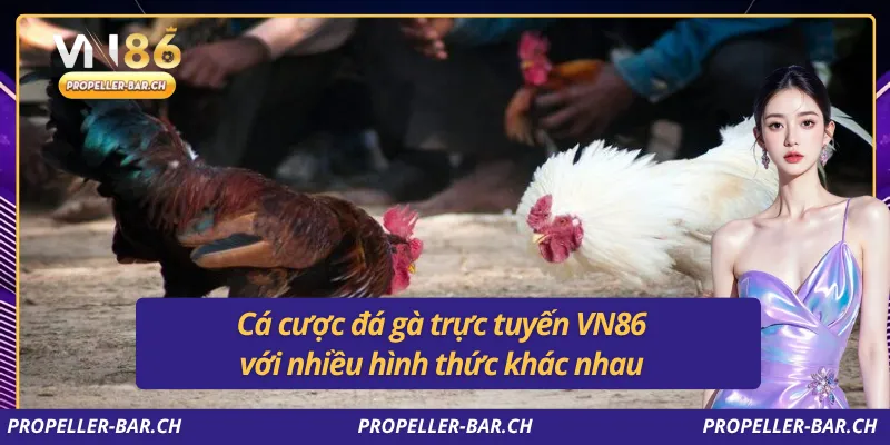 Cá cược đá gà trực tuyến VN86 với nhiều hình thức khác nhau