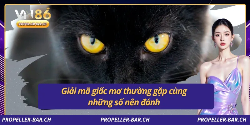 Giải mã giấc mơ thường gặp cùng những số nên đánh