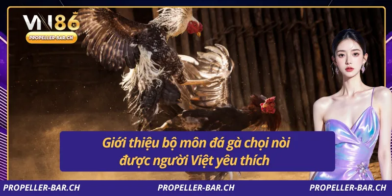 Giới thiệu bộ môn đá gà chọi nòi được người Việt yêu thích