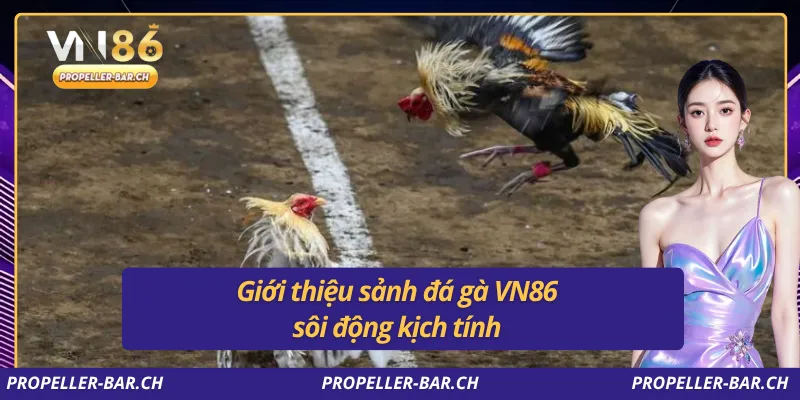 Giới thiệu sảnh đá gà VN86 sôi động kịch tính