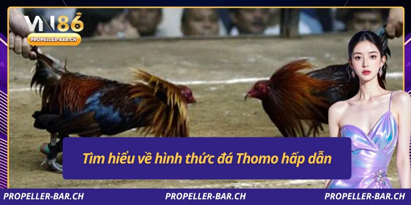 Tìm hiểu về hình thức đá Thomo hấp dẫn