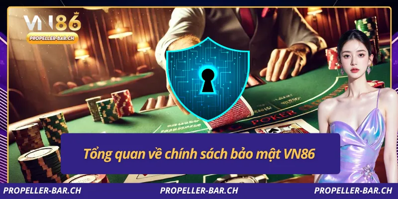 Tổng quan về chính sách bảo mật VN86